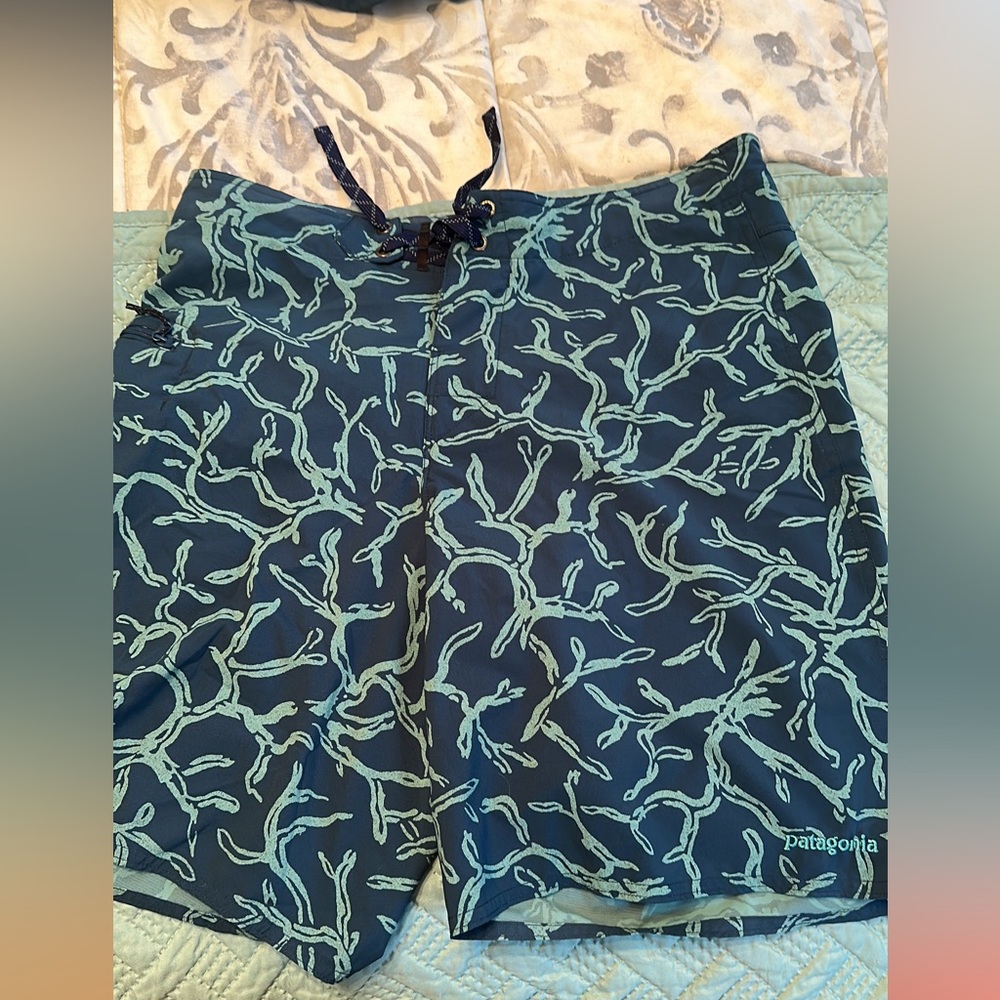 patagonia shorts